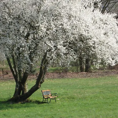 Luxurious Holiday In Auvergne With Private Garden Espinasse-Vozelle