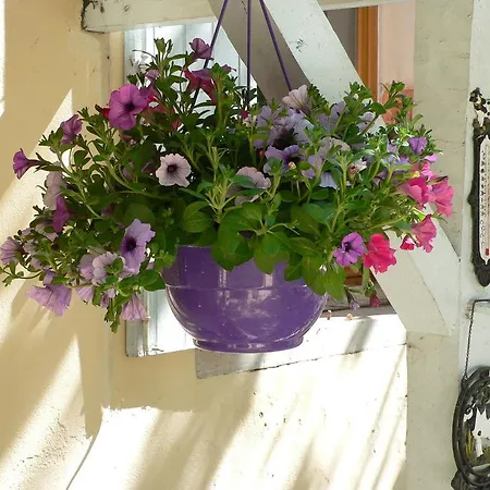 Luxurious Holiday In Auvergne With Private Garden Nyaraló Espinasse-Vozelle