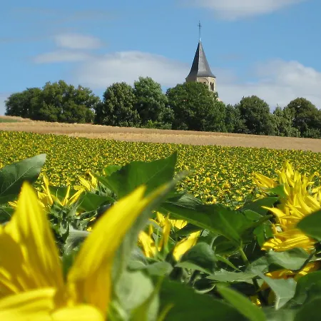 Luxurious Holiday In Auvergne With Private Garden * Espinasse-Vozelle