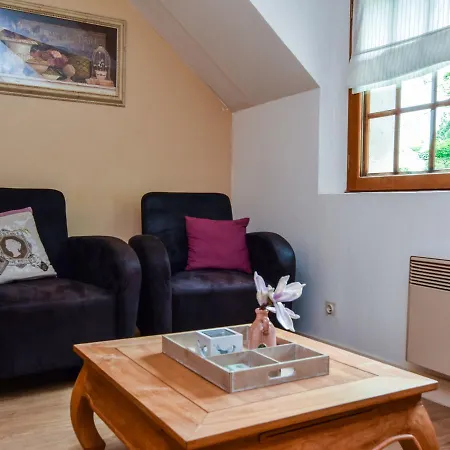 Luxurious Holiday In Auvergne With Private Garden